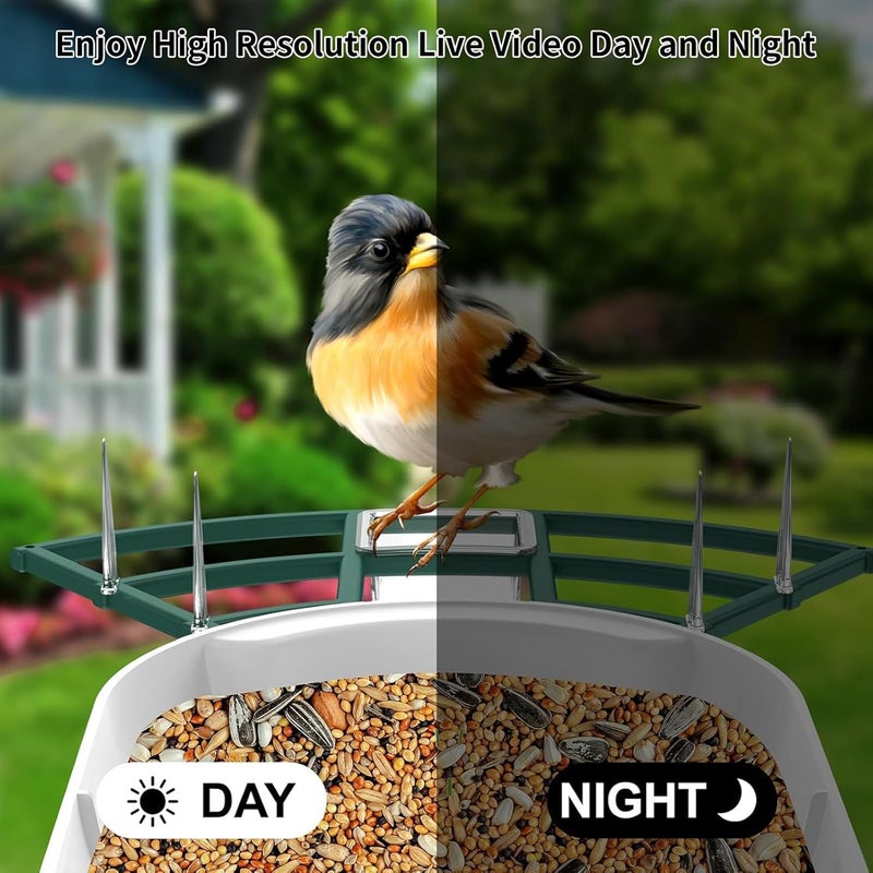 Fazoxo Bird Feeder with Camera,AI Identify Birds Species,Smart Birds Camera with Solar Powered,Auto Record FHD Feather Visitor Video in Backyard,Patio,Instant Notifications,Ideal Gifts for Bird Lovers - Image 5